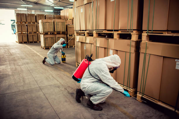 Best Affordable Pest Control Services  in Grayvle, IL