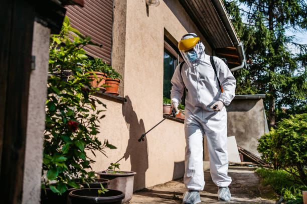 Best Ant Control Services  in Grayvle, IL