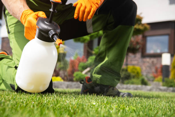 Best Bed Bug Extermination  in Grayvle, IL