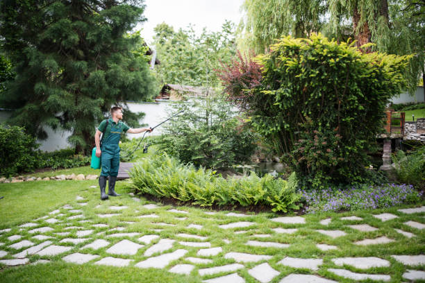 Trusted Grayville, IL Pest Control Experts
