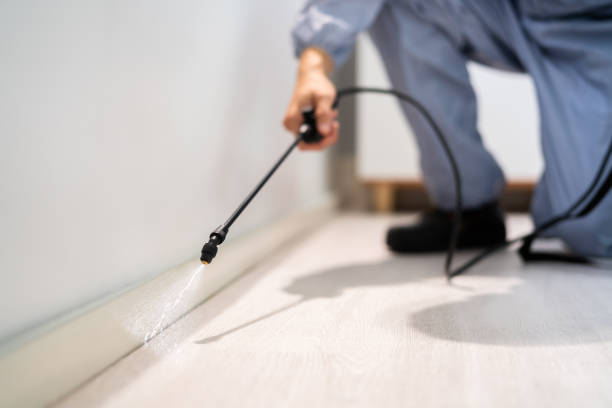 Best Cockroach Control Services  in Grayvle, IL