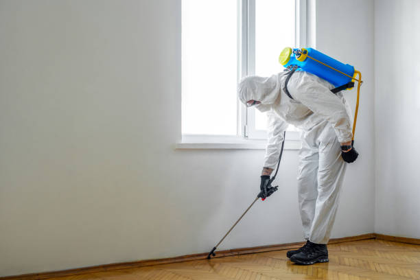 Best Best Pest Control Companies  in Grayvle, IL