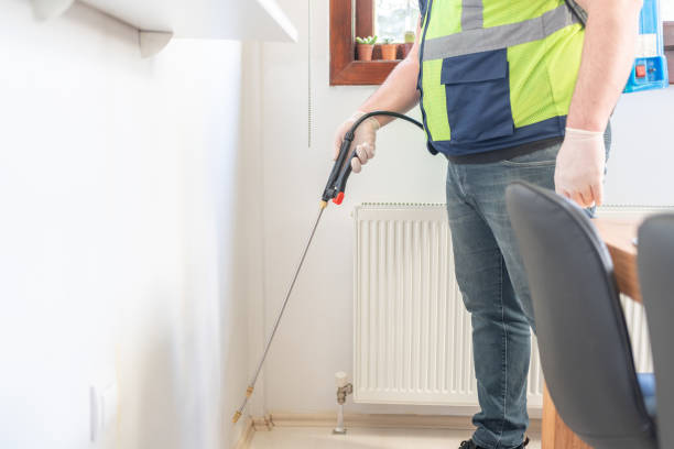 Best Emergency Pest Control  in Grayvle, IL
