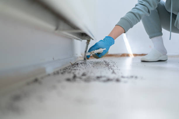 Bird Control in Grayville, IL