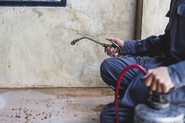 Best Emergency Pest Control  in Grayvle, IL